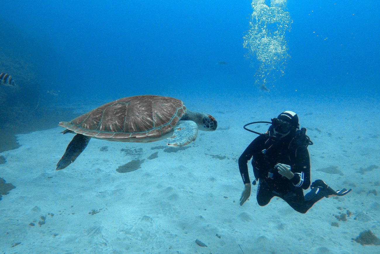 Buceo en Tenerife: Tus vacaciones también bajo el agua