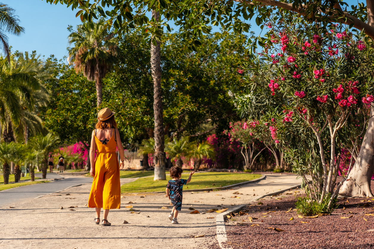 Qué hacer en primavera en Tenerife: clima, naturaleza y planes diferentes